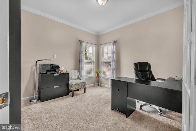 12116 Elmwood Dr, Brandywine, MD 20613 - home office featuring carpet flooring, baseboards, and crown molding