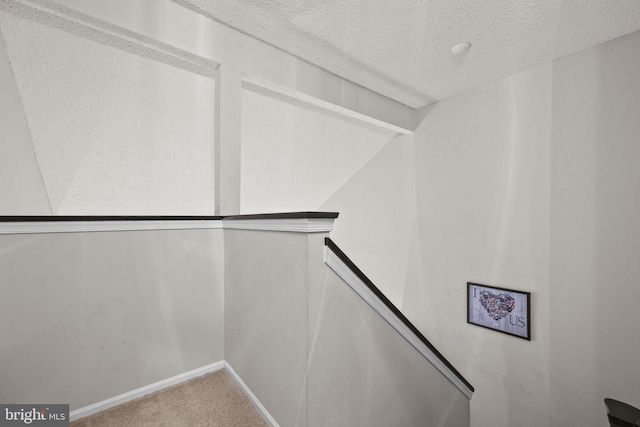 74 Haverford Ct, Hillsborough, NJ 08844 - spacious closet featuring carpet