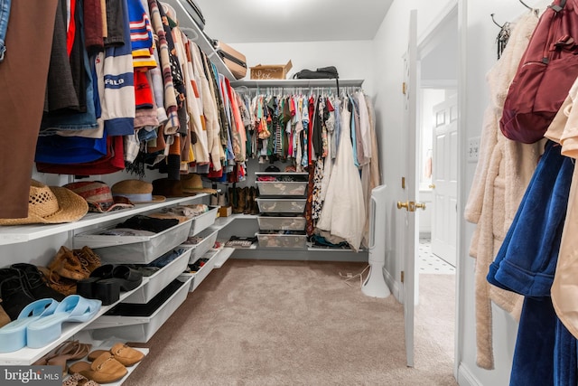 2738 Fresh Water Way, Odenton, MD 21113 - spacious closet featuring carpet floors
