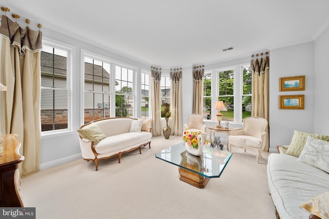 13443 Victory Gallop Way, Gainesville, VA 20155 - carpeted living room featuring ornamental molding, plenty of natural light, and baseboards