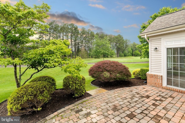 13443 Victory Gallop Way, Gainesville, VA 20155 - view of patio / terrace featuring view of wooded area