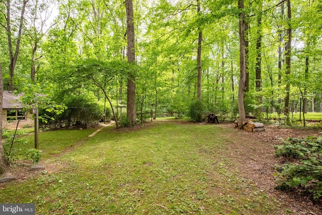 1906 Parkvue Rd, Fallston, MD 21047 - view of grassy yard