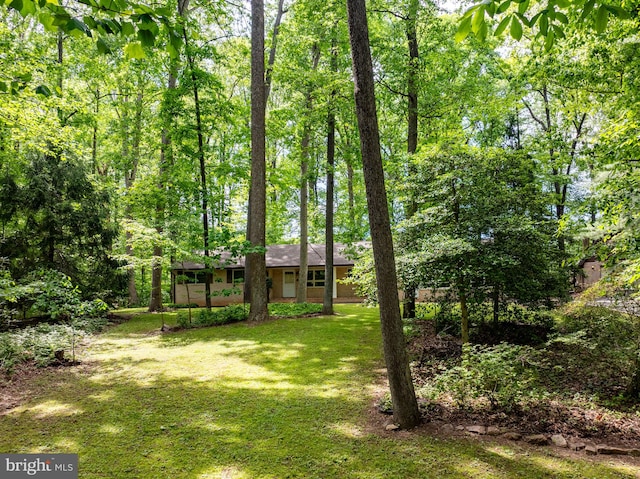 1906 Parkvue Rd, Fallston, MD 21047 - view of green lawn