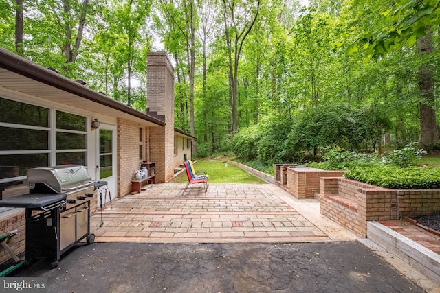 1906 Parkvue Rd, Fallston, MD 21047 - view of patio with area for grilling