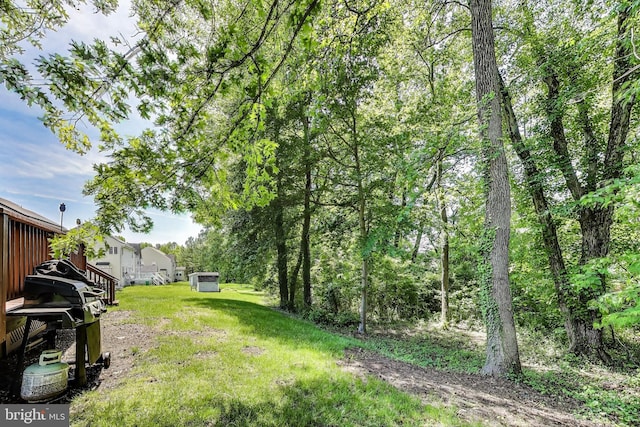 7009 Shagbark Ct, Fort Washington, MD 20744 - view of grassy yard
