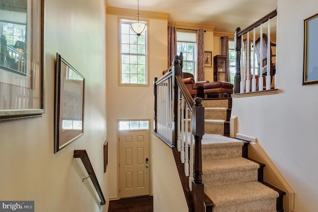 23412 Berkeley Meadows Dr, Ashburn, VA 20148 - staircase featuring baseboards and wood finished floors