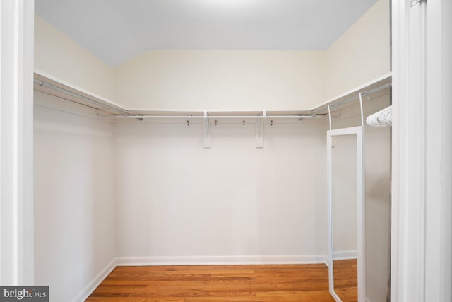 10 Old Orchard Ln, Chadds Ford, PA 19317 - walk in closet with wood finished floors