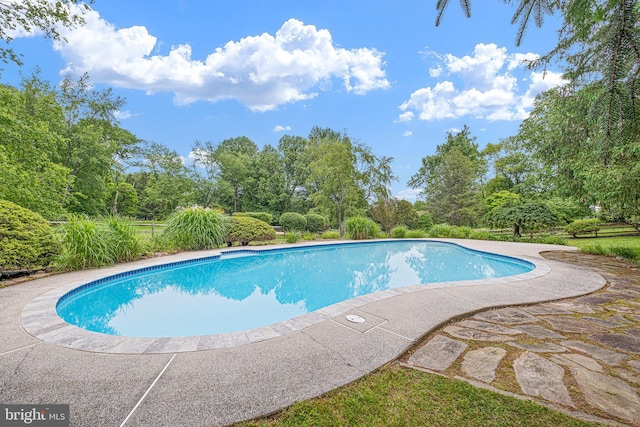 10 Old Orchard Ln, Chadds Ford, PA 19317 - swimming pool with view of wooded area and a patio