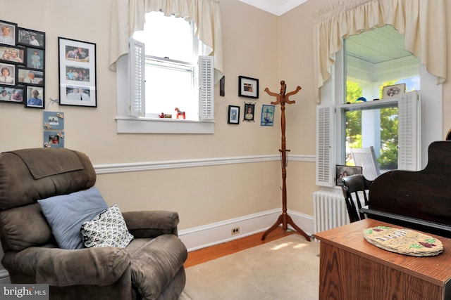 604 Market St, Pocomoke City, MD 21851 - office area with plenty of natural light, baseboards, wood finished floors, and crown molding