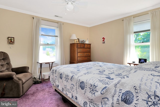604 Market St, Pocomoke City, MD 21851 - bedroom with multiple windows, carpet flooring, crown molding, and ceiling fan