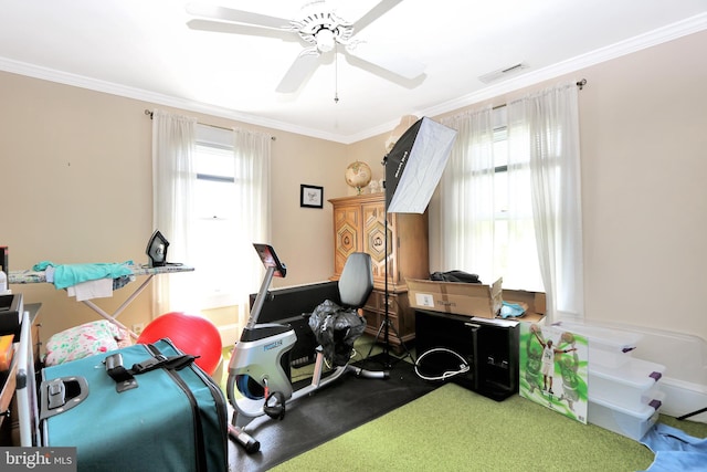 604 Market St, Pocomoke City, MD 21851 - exercise room featuring ornamental molding, healthy amount of natural light, ceiling fan, and carpet floors