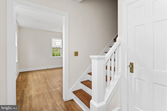 10 Pershing Ave, Ewing, NJ 08618 - stairs featuring wood finished floors