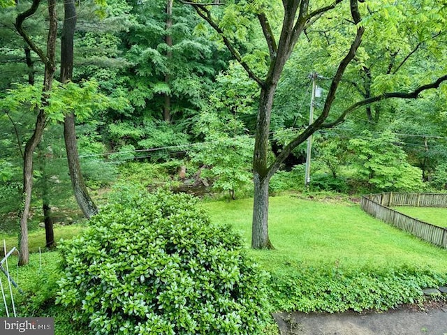 6748 Glenkirk Rd, Baltimore, MD 21239 - view of yard