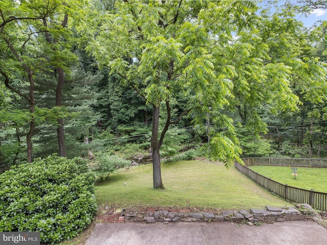6748 Glenkirk Rd, Baltimore, MD 21239 - view of yard featuring a wooded view