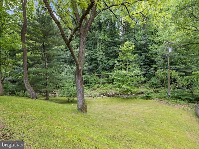 6748 Glenkirk Rd, Baltimore, MD 21239 - view of green lawn featuring a view of trees