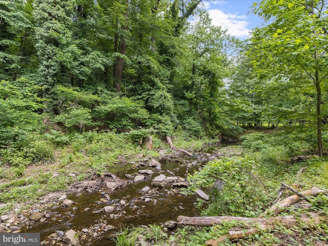 6748 Glenkirk Rd, Baltimore, MD 21239 - view of wooded area