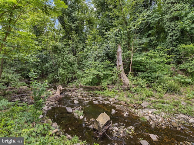 6748 Glenkirk Rd, Baltimore, MD 21239 - view of wooded area
