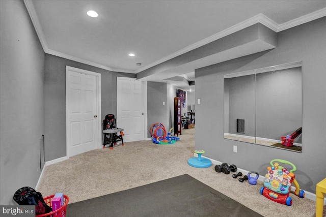 7 Kantner Ln N, Reading, PA 19607 - rec room featuring crown molding, recessed lighting, carpet, and baseboards