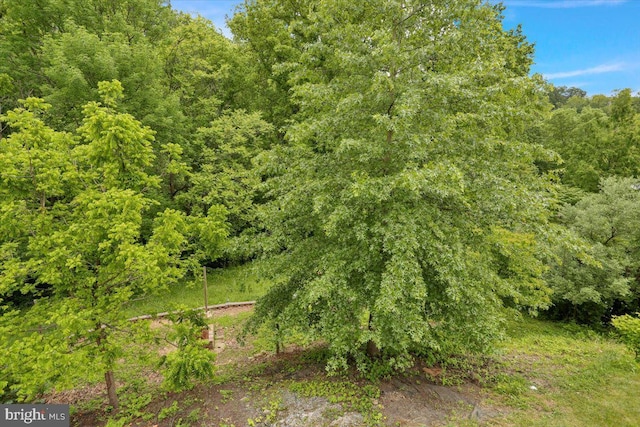 7 Kantner Ln N, Reading, PA 19607 - view of tree filled area