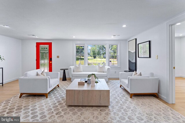 347 Clarks Tract Tract, Keswick, VA 22947 - living room with light wood finished floors and recessed lighting