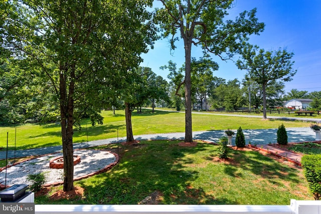 347 Clarks Tract Tract, Keswick, VA 22947 - view of yard
