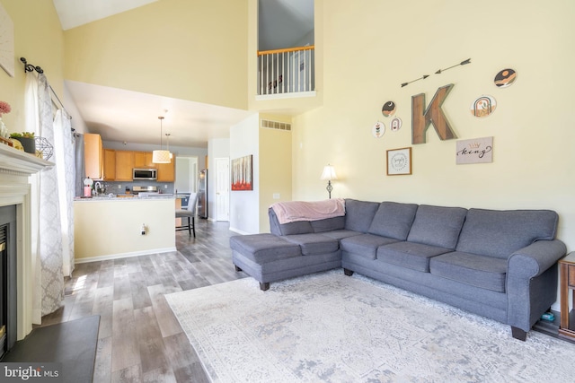 51 Phoebe Farms Ln, New Castle, DE 19720 - living area with light wood finished floors, high vaulted ceiling, and a glass covered fireplace