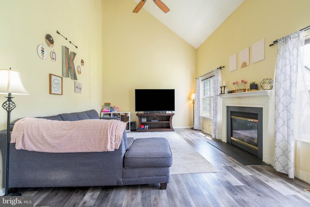 51 Phoebe Farms Ln, New Castle, DE 19720 - living area featuring healthy amount of natural light, wood finished floors, high vaulted ceiling, a glass covered fireplace, and a ceiling fan