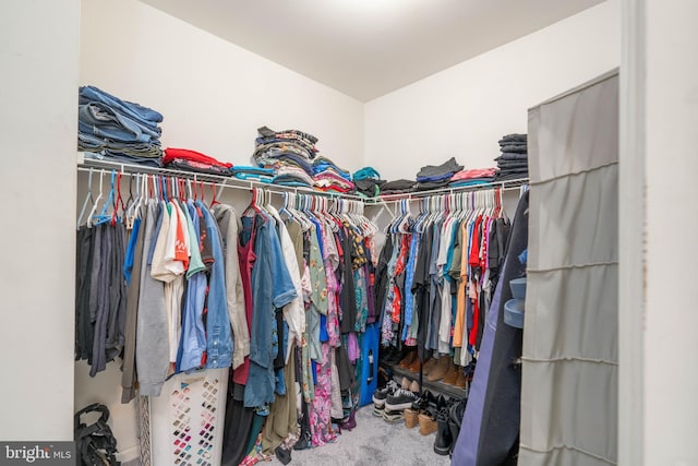 51 Phoebe Farms Ln, New Castle, DE 19720 - view of spacious closet