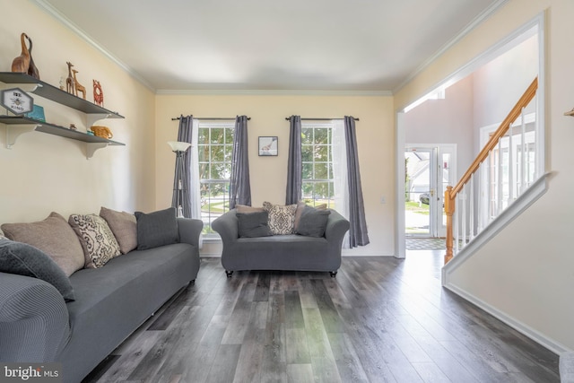 51 Phoebe Farms Ln, New Castle, DE 19720 - living room with dark wood-type flooring, crown molding, and stairs