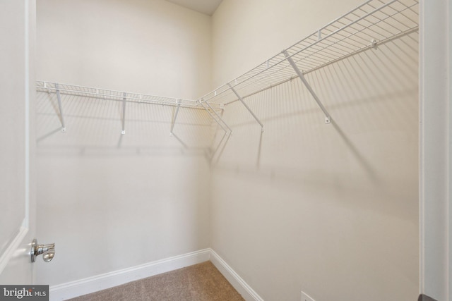 1909 Greenbriar Hall Rd, Dumfries, VA 22026 - spacious closet with carpet floors