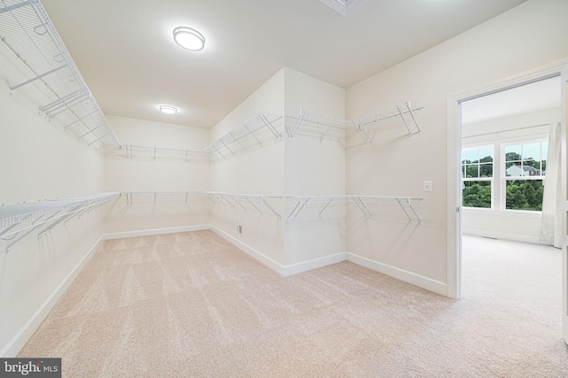 7425 Signal Hill Rd, Manassas, VA 20111 - walk in closet featuring carpet