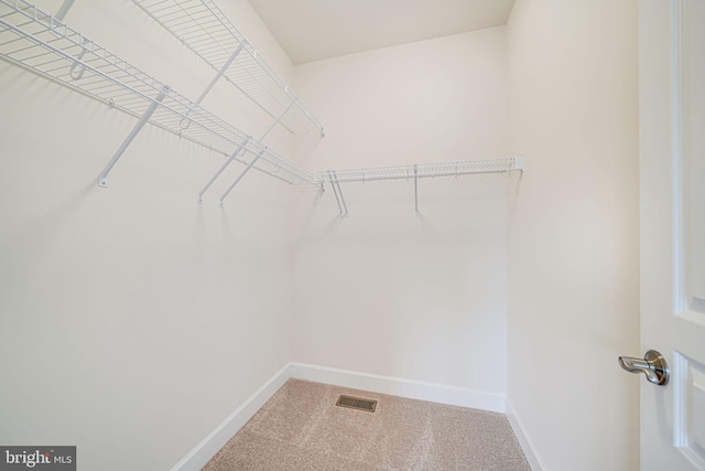 7425 Signal Hill Rd, Manassas, VA 20111 - walk in closet with carpet