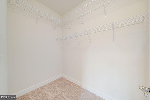 7425 Signal Hill Rd, Manassas, VA 20111 - spacious closet with carpet flooring