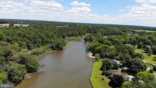 5509 Waterview Dr, Cambridge, MD 21613 - bird's eye view of a nearby body of water and a heavily wooded area