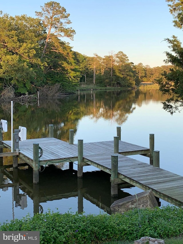 5509 Waterview Dr, Cambridge, MD 21613 - dock area with a water view and a forest view