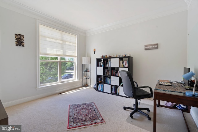 42735 Macauley Pl, Ashburn, VA 20148 - carpeted office featuring crown molding and baseboards
