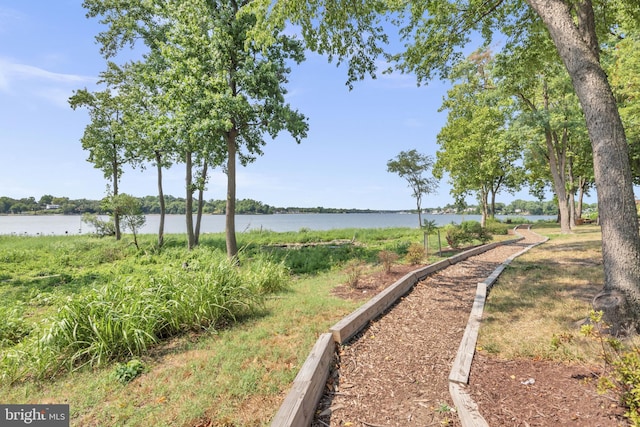 1328 Cox Cv, Stoney Beach, MD 21226 - water view