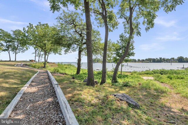 1328 Cox Cv, Stoney Beach, MD 21226 - view of property's community featuring a water view
