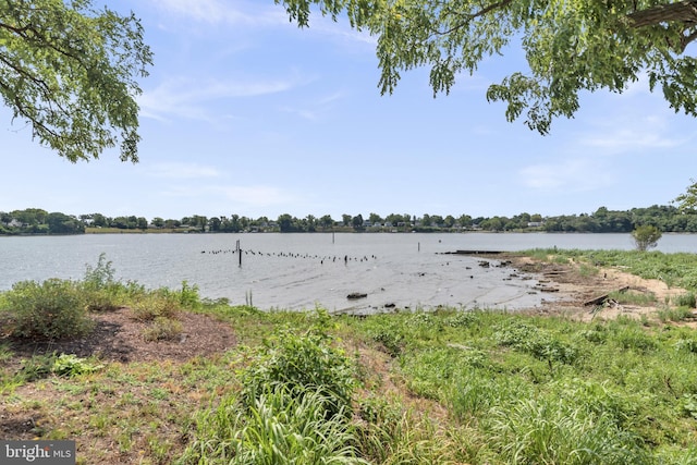 1328 Cox Cv, Stoney Beach, MD 21226 - water view
