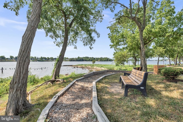1328 Cox Cv, Stoney Beach, MD 21226 - view of home's community with a water view