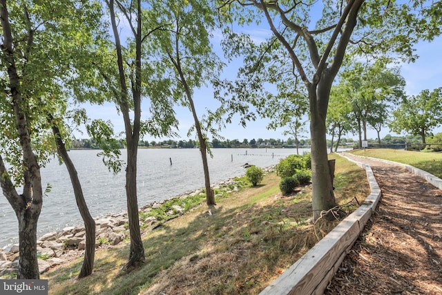 1328 Cox Cv, Stoney Beach, MD 21226 - water view