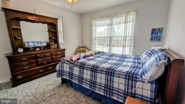 12 Rogers Cir, Newark, DE 19702 - view of carpeted bedroom