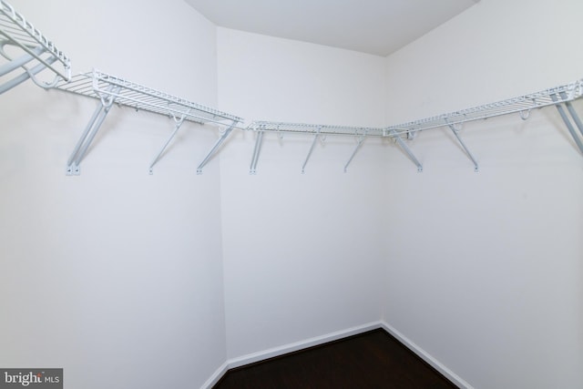 42344 Abney Wood Dr, Chantilly, VA 20152 - walk in closet featuring dark wood-type flooring