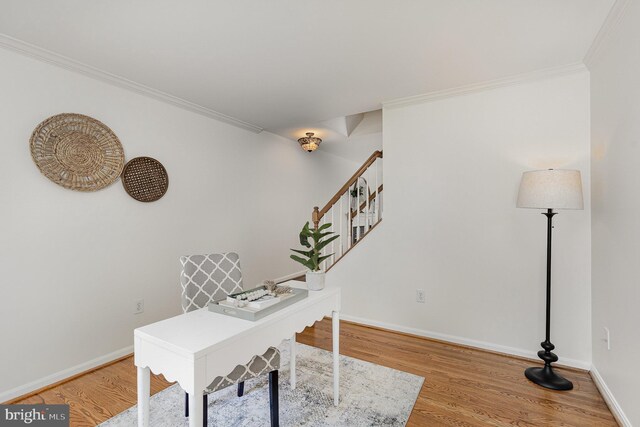 11 Basalt Dr, Fredericksburg, VA 22406 - office area with ornamental molding and light wood-style floors