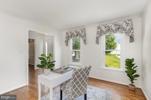 11 Basalt Dr, Fredericksburg, VA 22406 - office space featuring wood finished floors, crown molding, and plenty of natural light