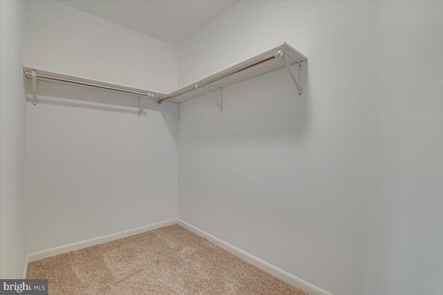711 E Center St, Nesquehoning, PA 18240 - walk in closet featuring carpet floors