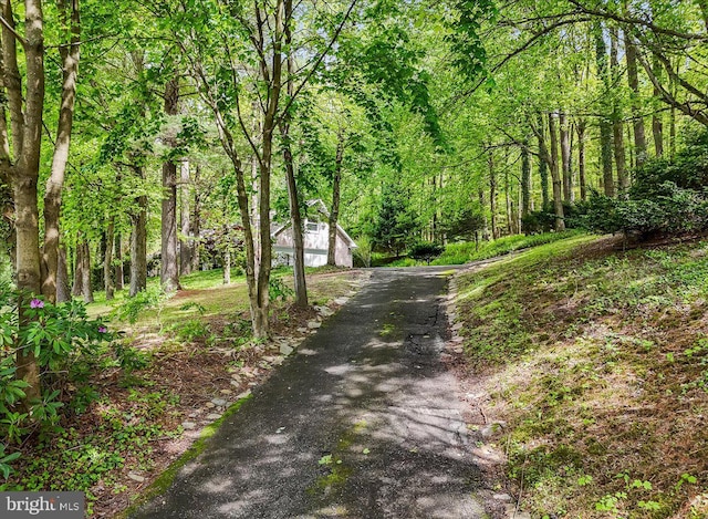 711 E Center St, Nesquehoning, PA 18240 - view of road with a forest view