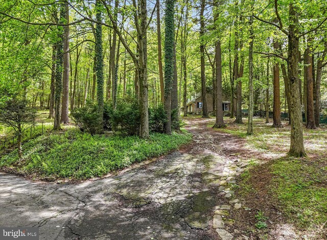 711 E Center St, Nesquehoning, PA 18240 - view of tree filled area