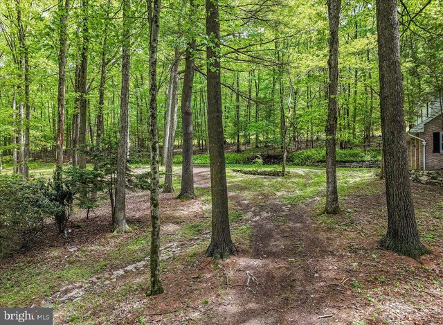711 E Center St, Nesquehoning, PA 18240 - view of woods