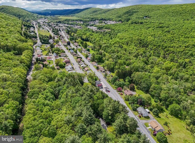 711 E Center St, Nesquehoning, PA 18240 - aerial view of a forest and mountains